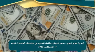 تحديث هام اليوم.. سعر الدولار مقابل الجنيه في منتصف تعاملات الأحد 17 أغسطس 2025